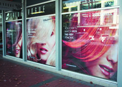 Interior Mount Perforated Window Films - How does that work and what are my choices?